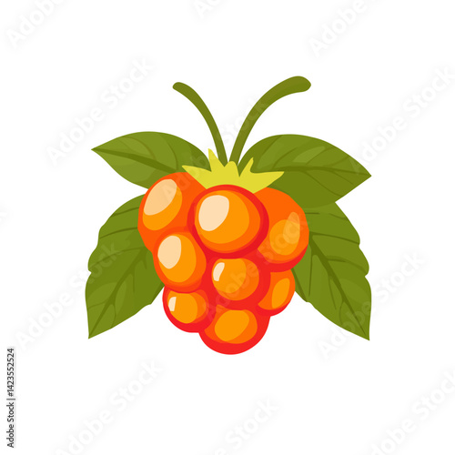 My Simple flat 2D illustration cloudberry isolated on a transparent background, vector, flat design, animation design, simple flat 2D icon, clipart