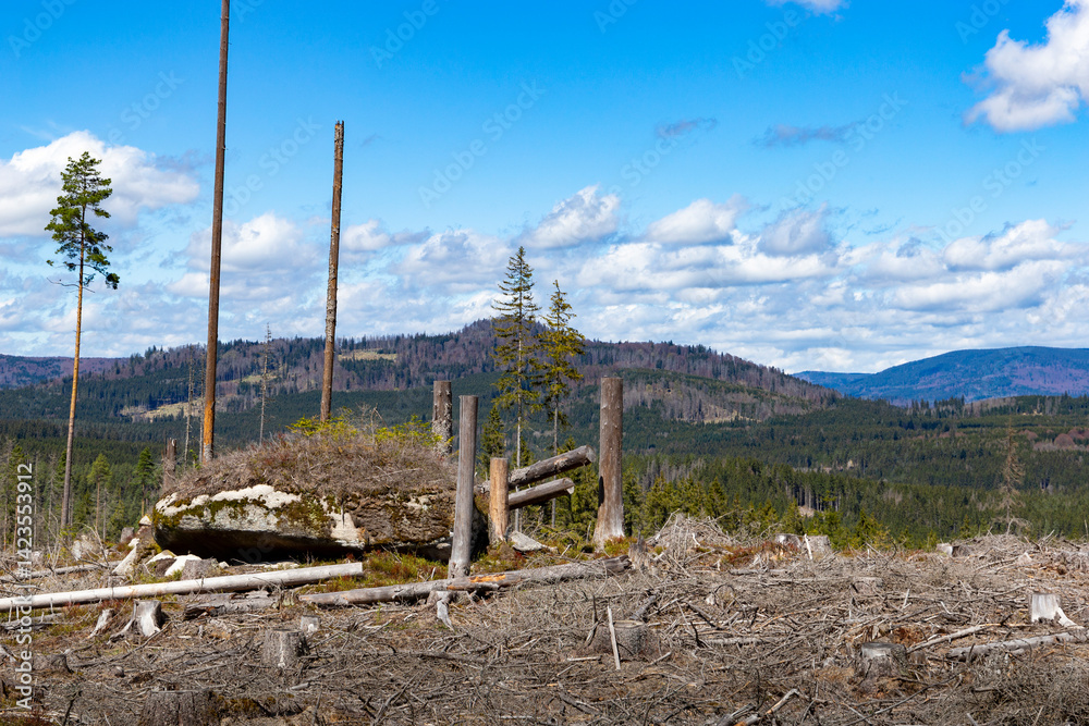 Dry forest damaged by bark beetle and rock formations in the Sumava Mountains. Czechia.