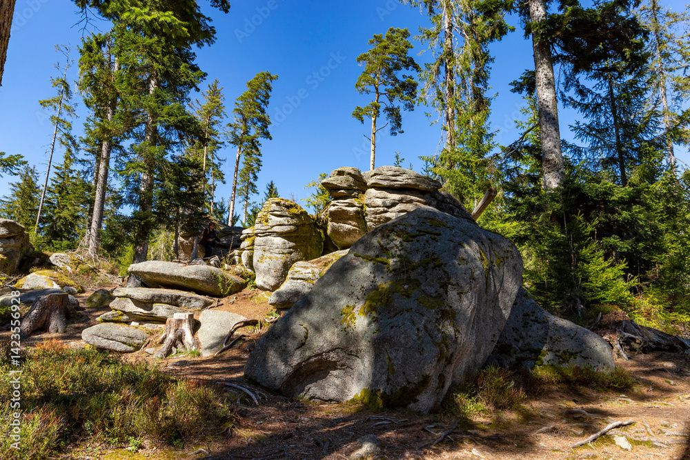 Rock formations in the Sumava Mountains, Czechia. Tourist area