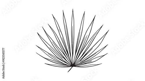 Fan Palm Leaf line art illustration botanical drawing for interior