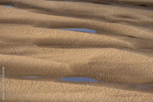 Texture and ridges on sandbank at low tide