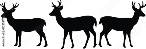 Three Elegant Deer Silhouettes Wildlife Nature Animal Design