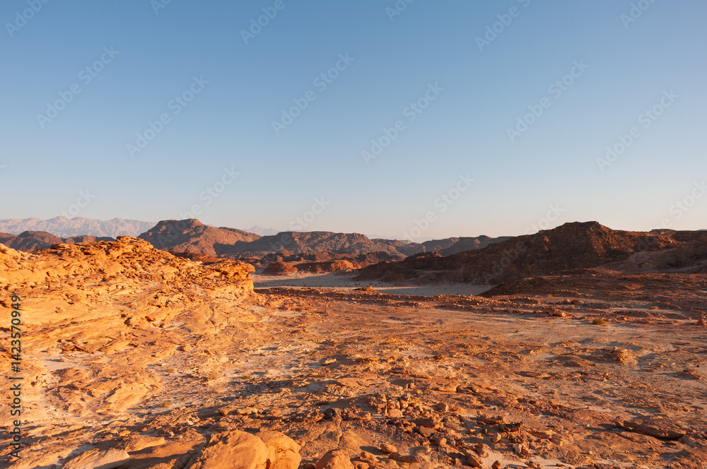 Fototapeta premium A desert landscape with a clear blue sky
