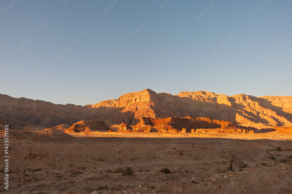 Naklejka premium A desert landscape with a mountain in the background