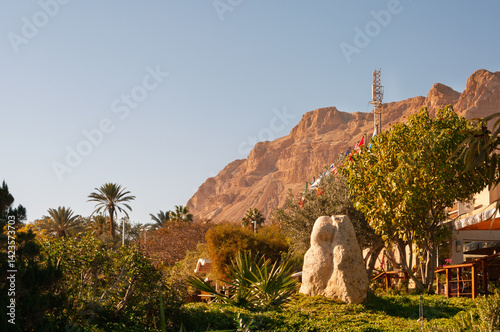 A mountain range is in the background of a lush green garden photo