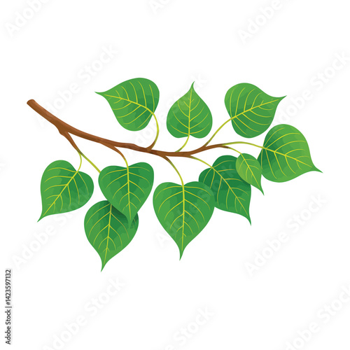 Bodhi Tree Branch, Bo leaves ,  Sacred fig leaves Vector for Vesak Day – Sacred Buddhist Symbol Illustration