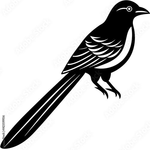 vector silhouette of a drongo bird with forked tail, perched