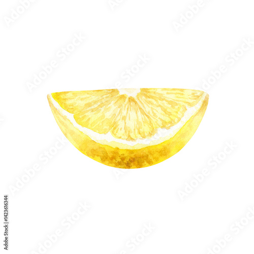 Watercolor illustration of lemon slice isolated on a white background.
