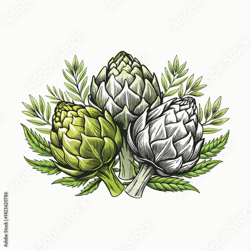 Hand drawn fresh artichoke Sketch Hand drawn single line art use for logo poster illustration