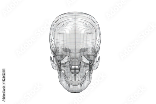 wireframe logo skeletal structure, transparent effect, futuristic feel, clean 