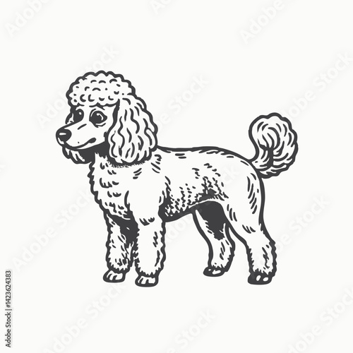 Lagotto Romagnolo dog peeking face Sketch Hand drawn single line art use for logo poster 