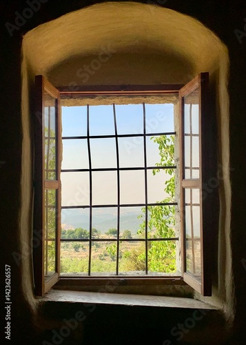 Window to the Mountains photo
