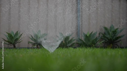 Springer is doing Watering plants and lawns in the garden, Automatic Sprinkler irrigation system watering in the backyard