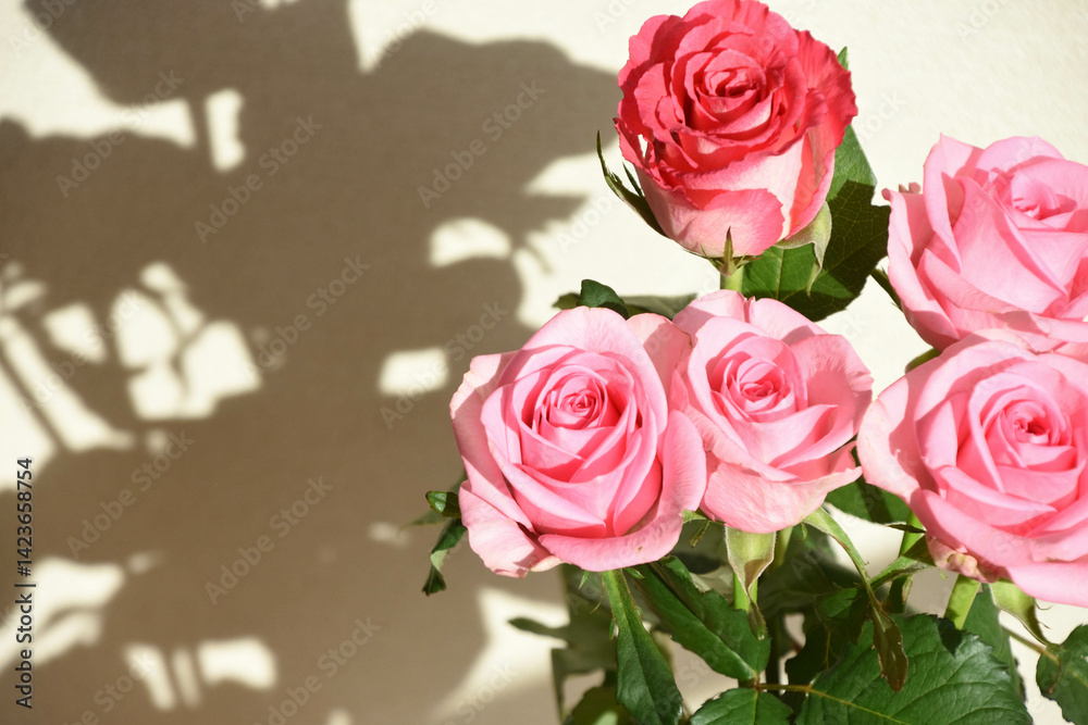 Obraz premium ピンクのばら
