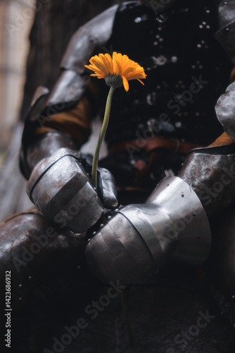 watering a flower