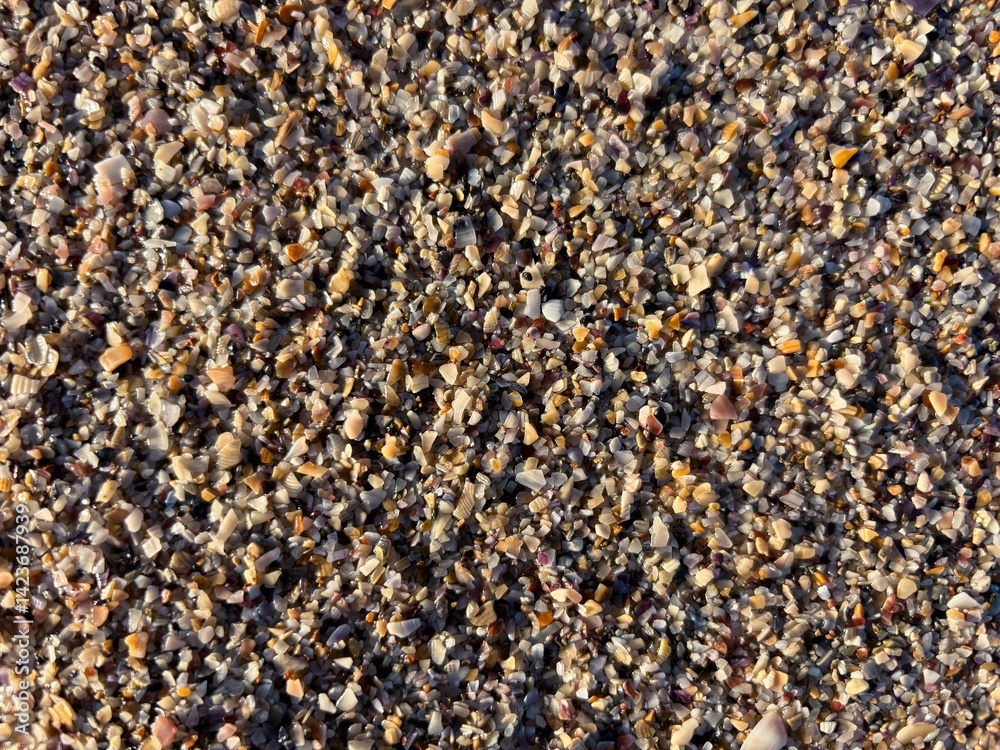Fototapeta premium Close up of colorful seashell fragments and pebbles on a sandy beach. Natural textures and coastal aesthetics