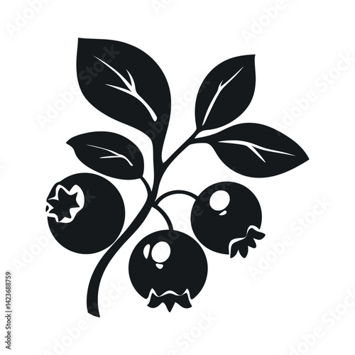 Black and white vector illustration of black currant berries with leaves.