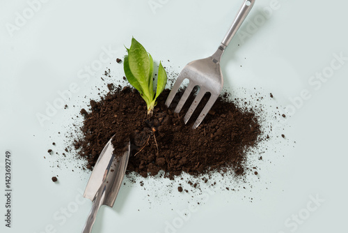 Concept planting flowers. Spring season gardening. Small hand metallic tools, plant, soil on blue background. Work and hobby. Vertical format. Top view.