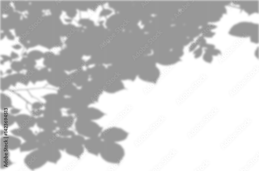 Natural leaf shadow effects isolated on transparent background. Blurred tree branch shadow. Plant leaves shade. Spring decoration, Mockup, template for product display, Summer design elements, PNG