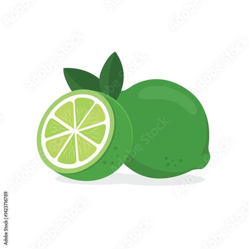 Lime vector. Green fresh lime icon. Lime fruits on white isolated. Lime slices collection isolated on white background.