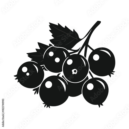 Black currant berry isolated on white background