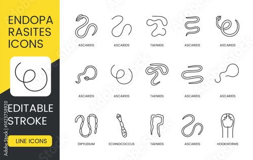 Editable stroke vector line icons of endoparasites including roundworms hookworms tapeworms and echinococcus perfect for veterinary infographics medical visuals and pet health apps