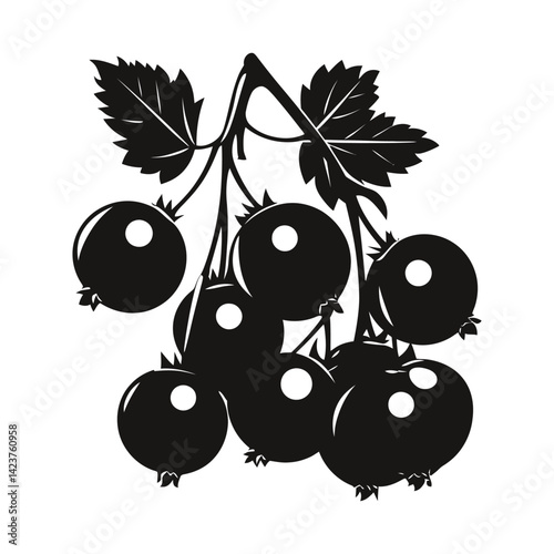 Black currant berry isolated on white background