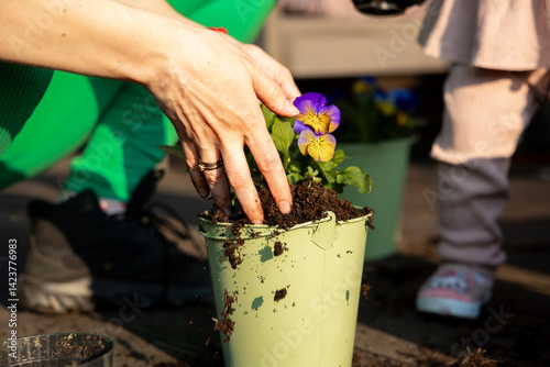 Close up of hands planting a purple and yellow flower in a light green pot, with soil scattered around and a child partially visible in the background.