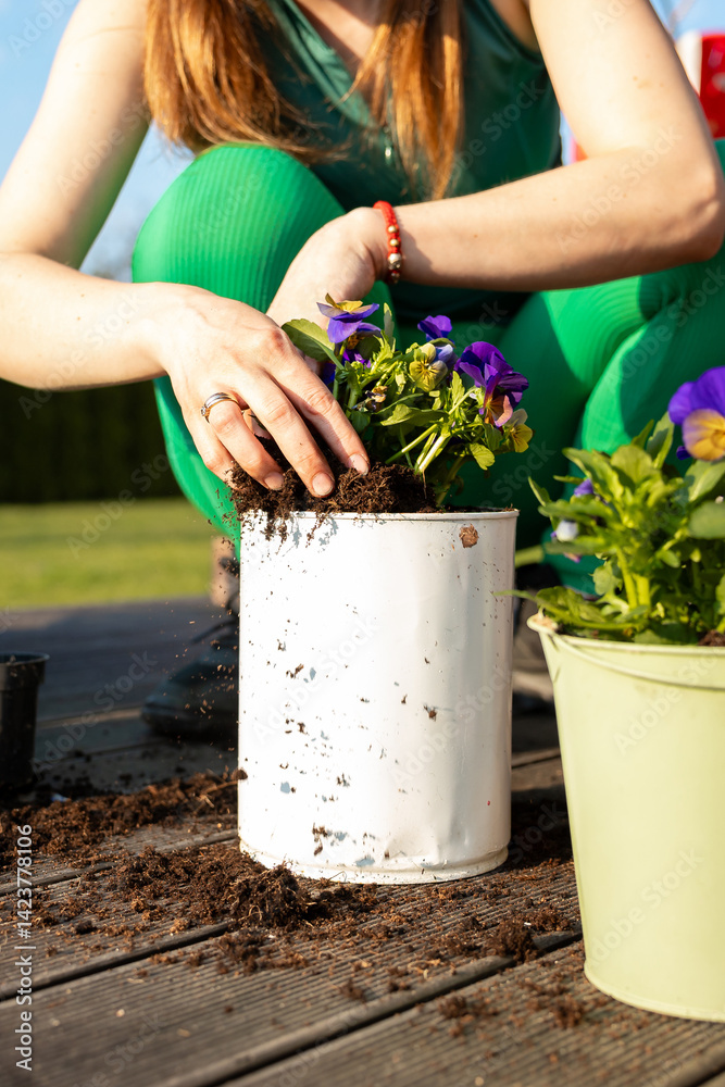 A person in green clothing plants purple flowers in a white metal container on a wooden surface, with soil, a green pot, and blurred hedge in the background.