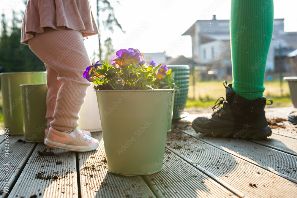Close up of a potted plant with purple flowers on a wooden deck, scattered soil, and two individuals' legs in a sunlit outdoor environment.