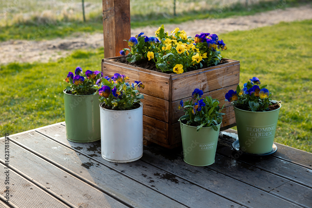 A wooden deck displays vibrant potted flowers, a rustic wooden planter box, and labeled pots. A grassy field, dirt path, and fencing are in the background.