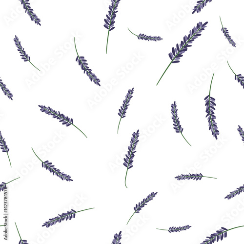 Lavender Botanical Seamless Pattern on Transparent Background