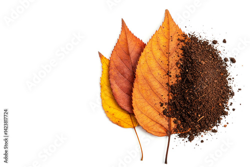 Autumn leaves turning to earth on a light background. Space for text.