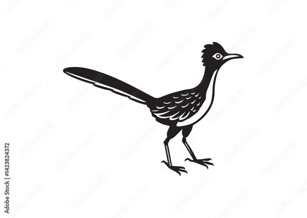 Fototapeta premium Roadrunner bird Silhouette vector
