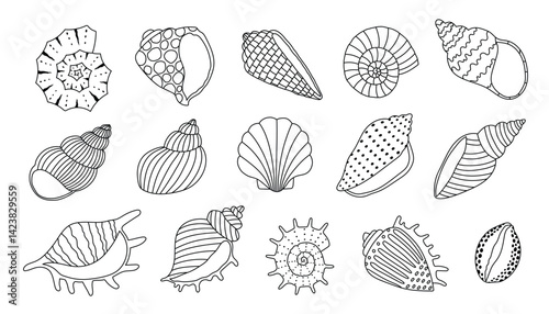 Set of hand drawn outline seashells. Editable stroke. Design elements for print, sticker, greeting card and invitation.