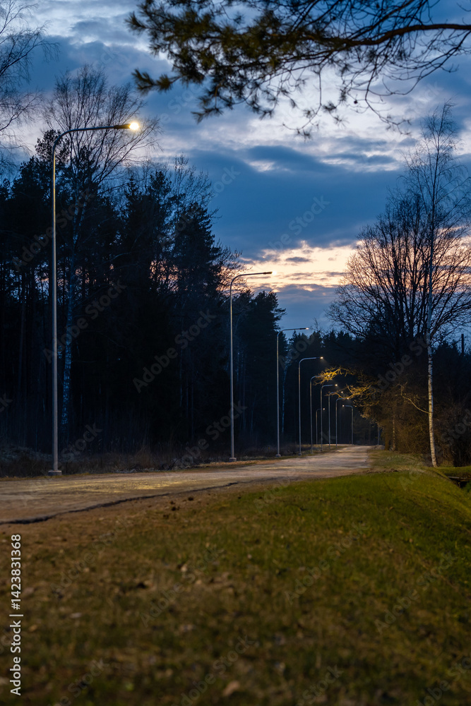 A winding pathway lit by streetlights at dusk, bordered by sparse grass and tall trees. The sky shows dark clouds and fading sunlight hues.