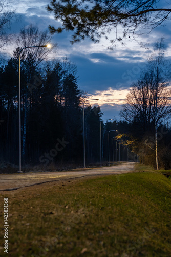 Obraz na płótnie A winding pathway lit by streetlights at dusk, bordered by sparse grass and tall trees. The sky shows dark clouds and fading sunlight hues. w salonie