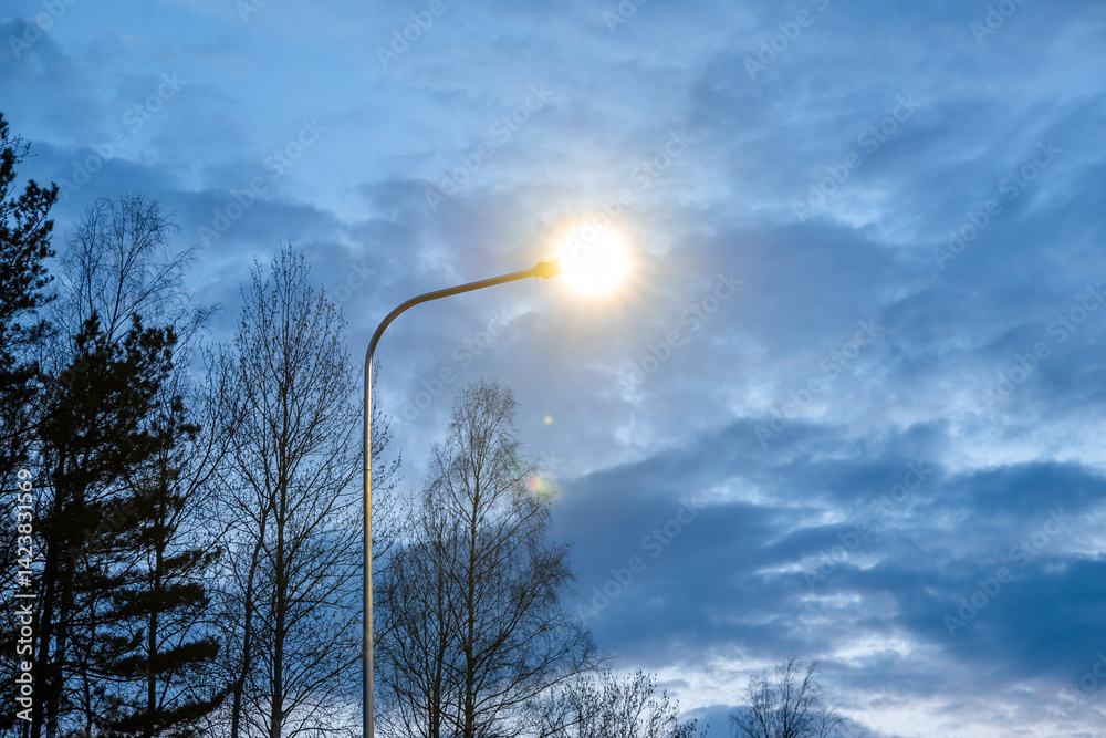 A glowing streetlamp contrasts with bare tree silhouettes and a cloudy evening sky, highlighting the interplay of light and natural elements.