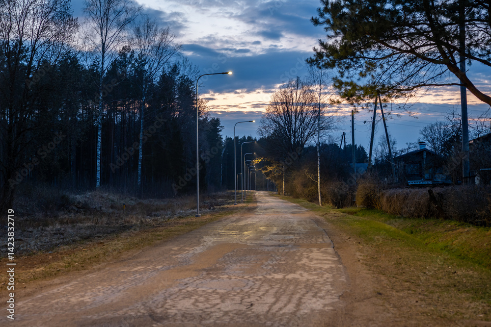 A quiet rural road extends into the distance under a dusk sky, lined with bare trees, streetlights, a forested area on the left, and houses on the right.