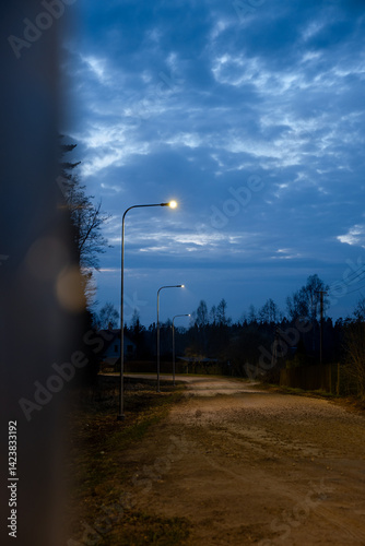 Obraz na płótnie A quiet dirt road lit by streetlights under a dim evening sky with scattered clouds. Sparse trees and distant houses create a rural atmosphere. w salonie