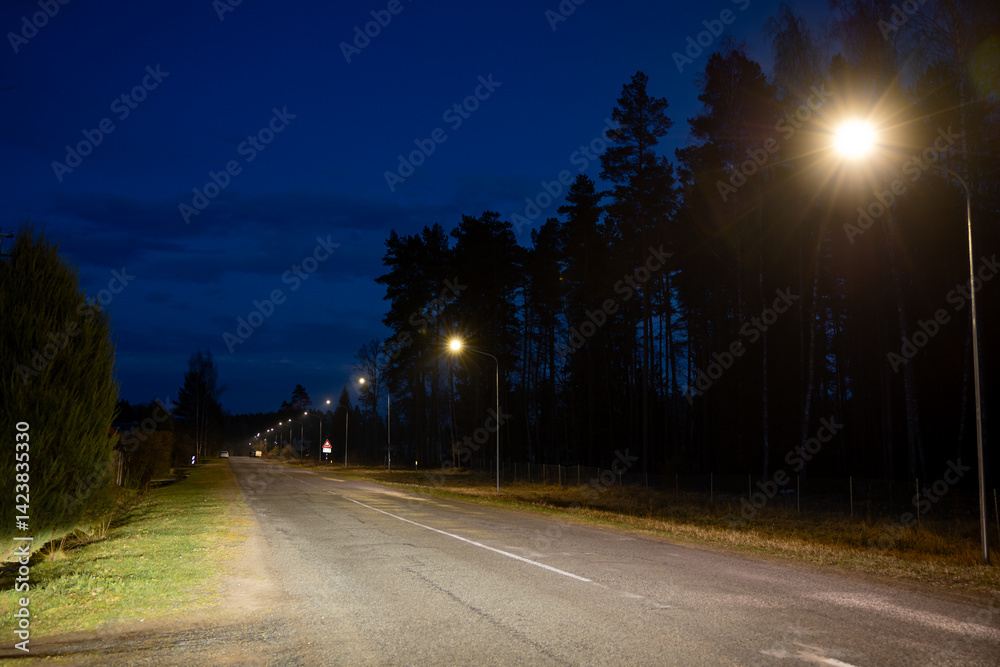 A quiet road extends into the distance under a deep blue evening sky, bordered by tall trees and a grassy verge, with streetlights casting warm light.