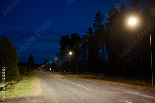 Obraz na płótnie A quiet road extends into the distance under a deep blue evening sky, bordered by tall trees and a grassy verge, with streetlights casting warm light. w salonie