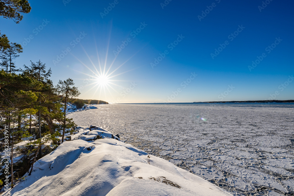 winter landscape with snow