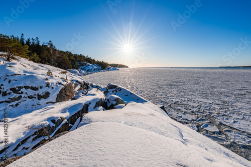winter landscape with snow