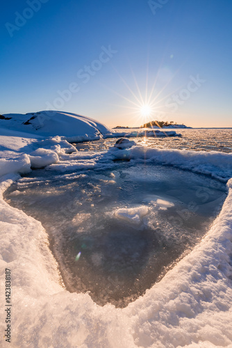 winter landscape with snow