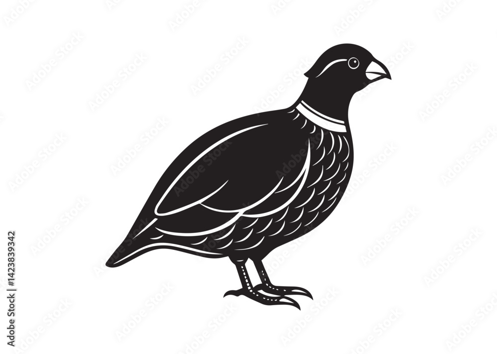 Fototapeta premium Bobwhite Quail Silhouette vector