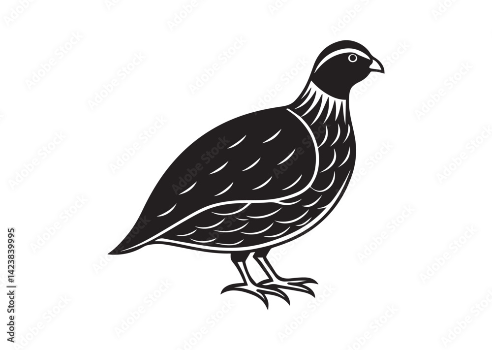 Obraz premium Bobwhite Quail Silhouette vector