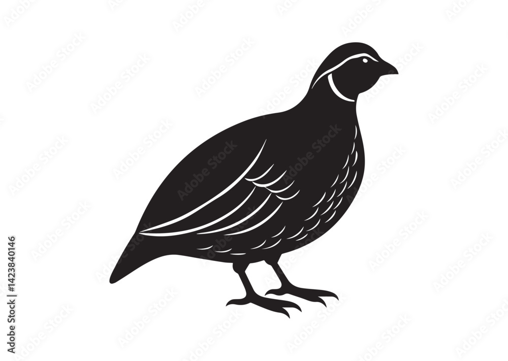 Bobwhite Quail Silhouette vector Bobwhite Quail Silhouette vector