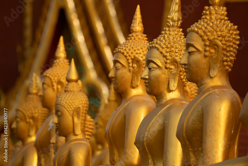 Golden Buddha statues, seated in different meditation positions, at the Wat Phousalao temple, near Pakse, Champasak, Laos photo