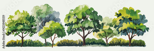 Green tree and forest vector in watercolor style side view isolated for garden section, landscape design, and architectural elements

